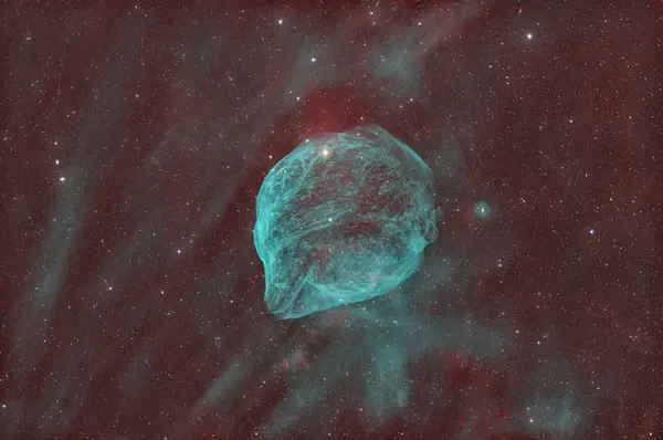 Sh2-308 - Nebulosa Testa di Delfino