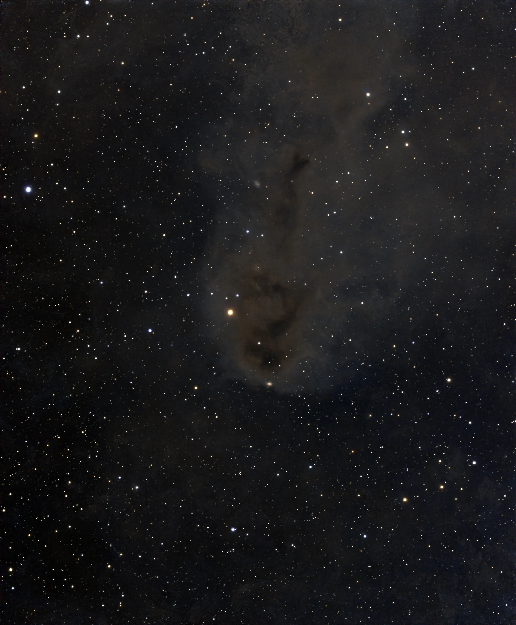 LDN 1251 - Nebulosa Oscura