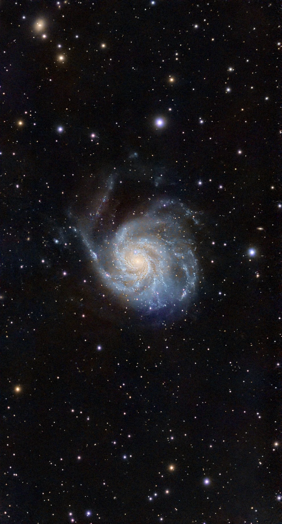 M101 - Galassia Girandola
