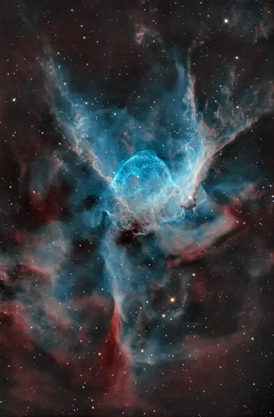 NGC 2359 - Elmo di Thor