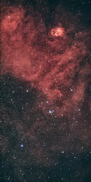 NGC 6604