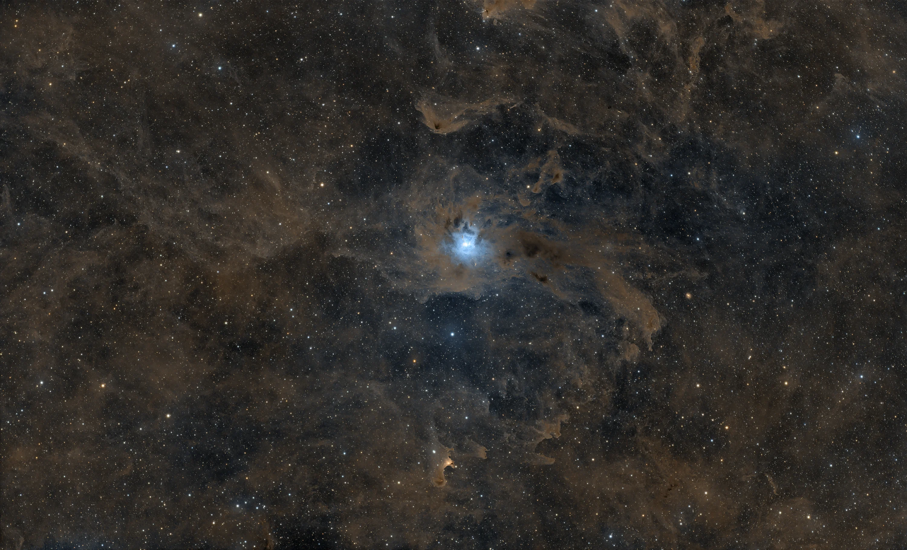 NGC 7023 - Nebulosa Iride