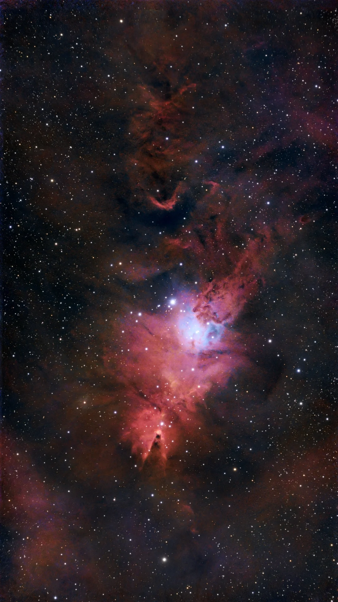 NGC 2264 - Ammasso dell’Albero di Natale