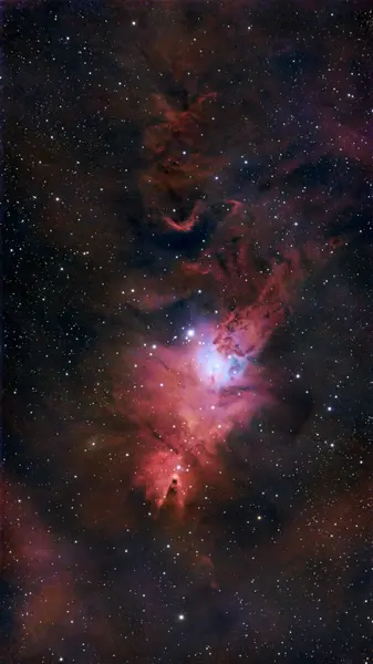 NGC 2264 - Ammasso dell’Albero di Natale