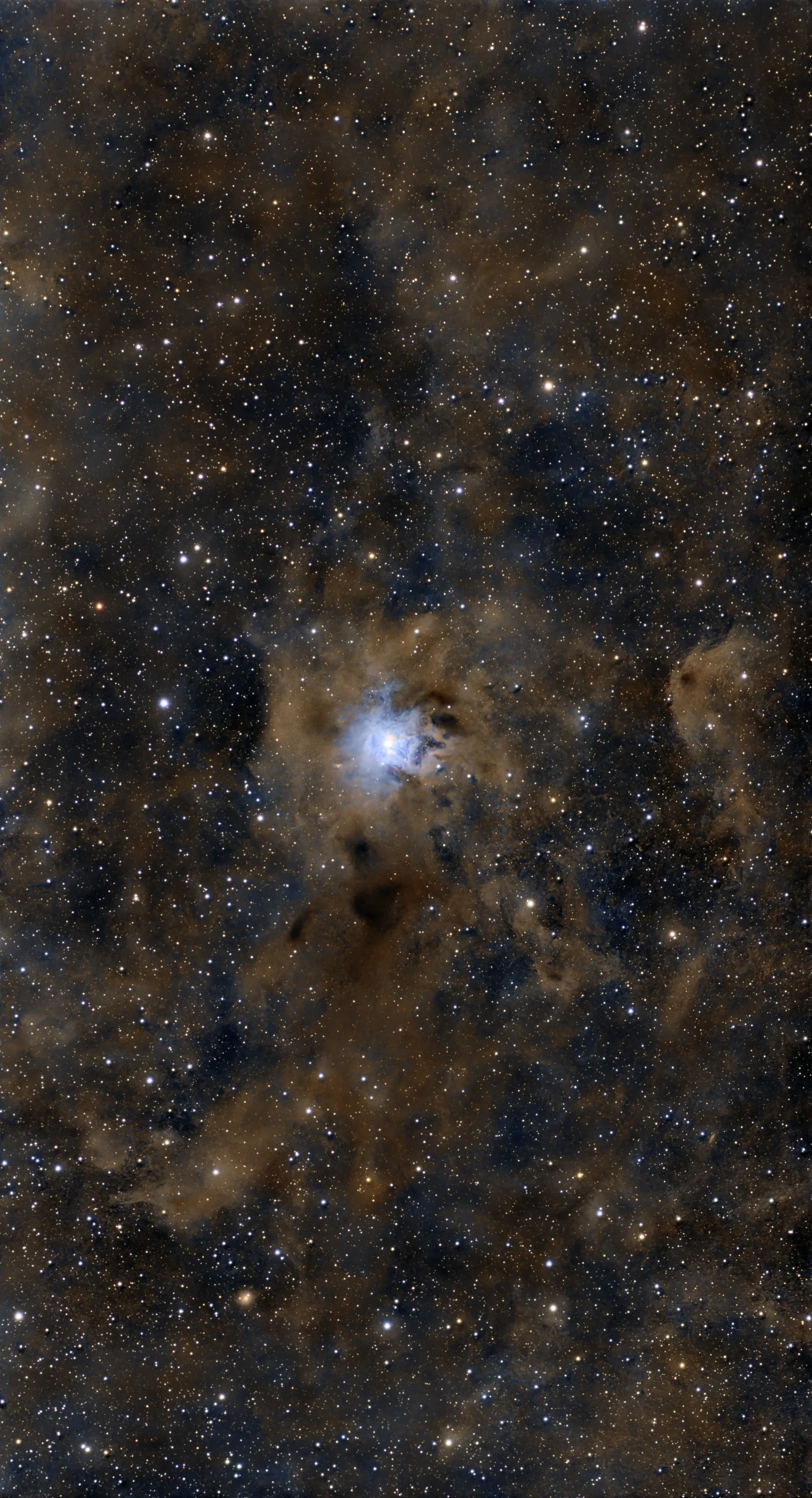 NGC 7023 - Nebulosa Iride